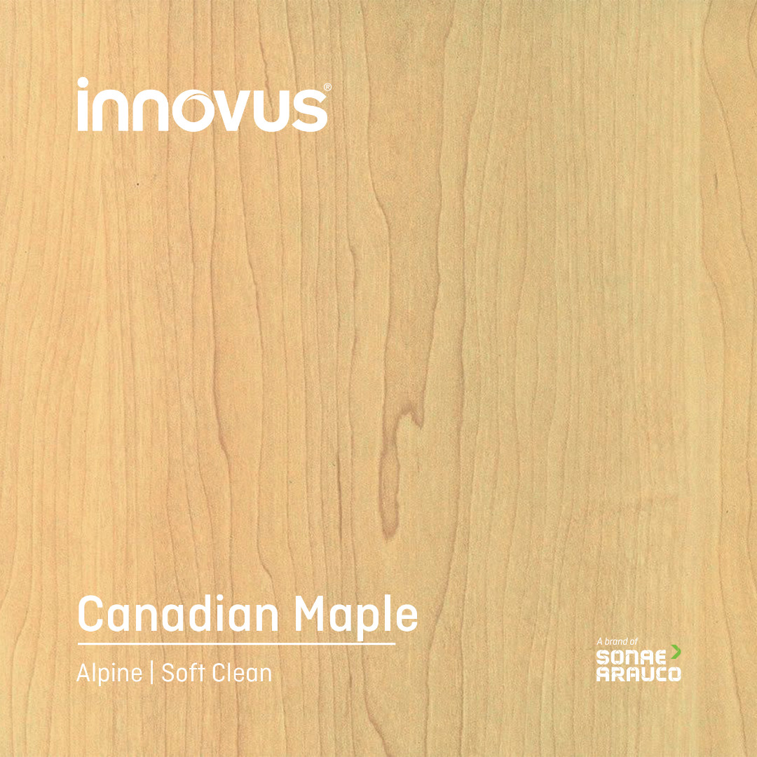 Canadian Maple